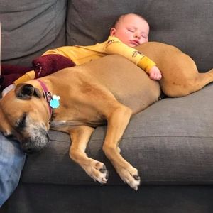 Meet your Posher, Jay